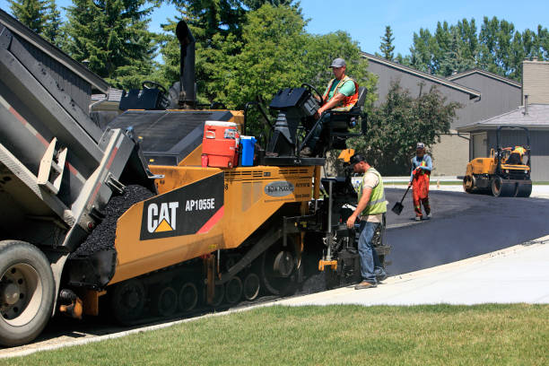 Best Decorative Driveway Paving in Belle Isle, FL